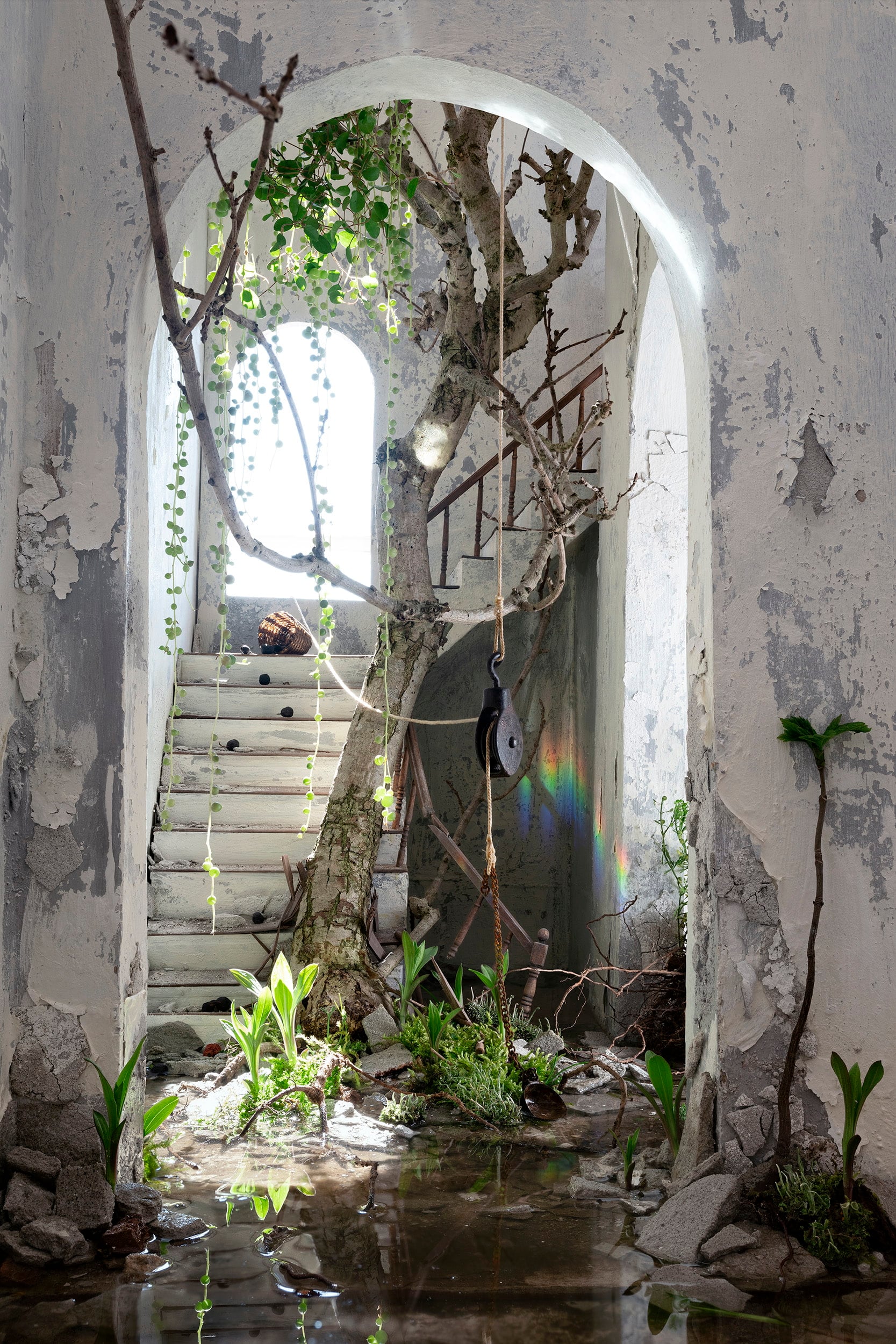 The Tree, 170 × 113 cm / 75 × 50 cm