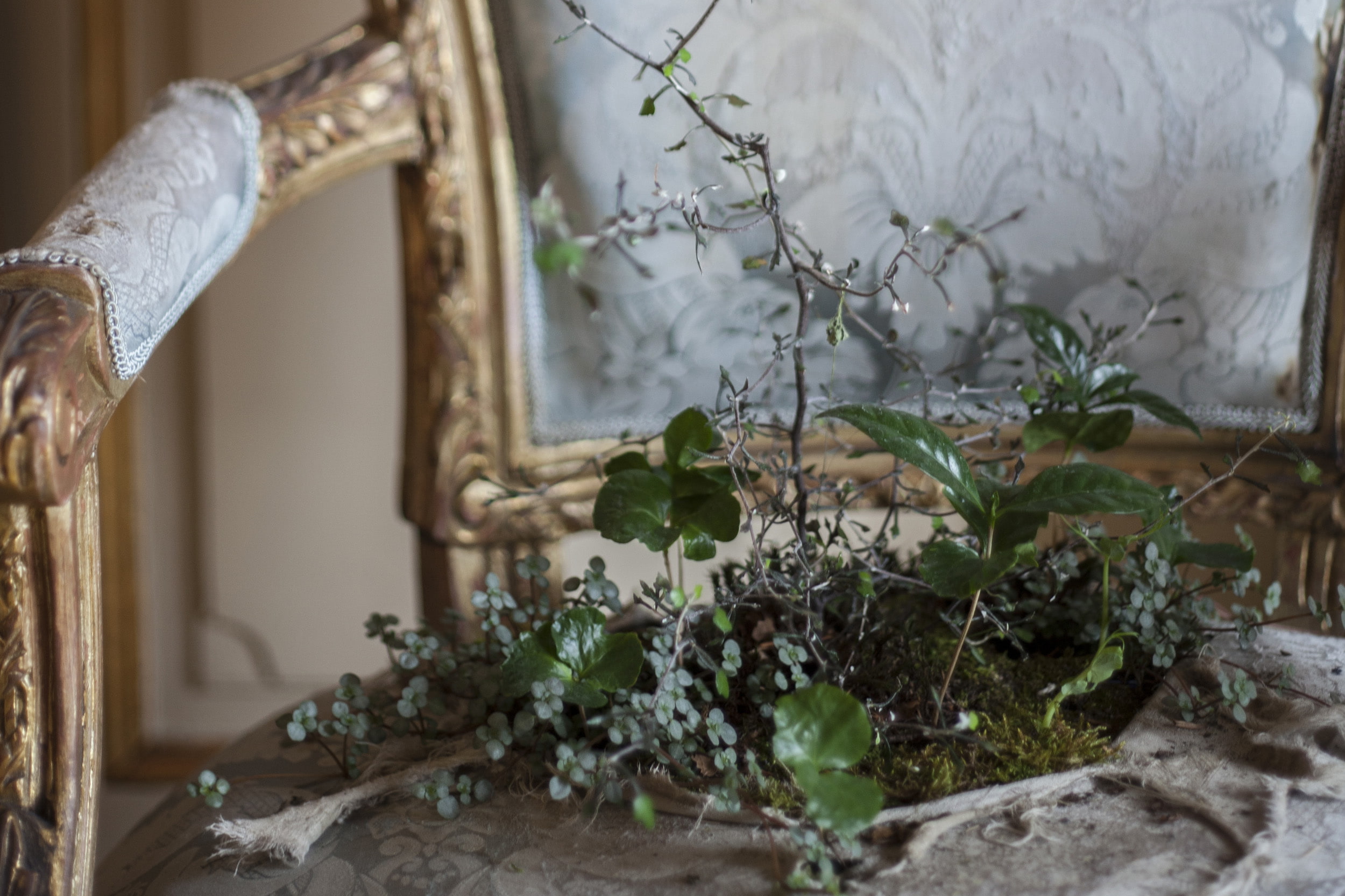 Please Wait Here 2017 — installation view