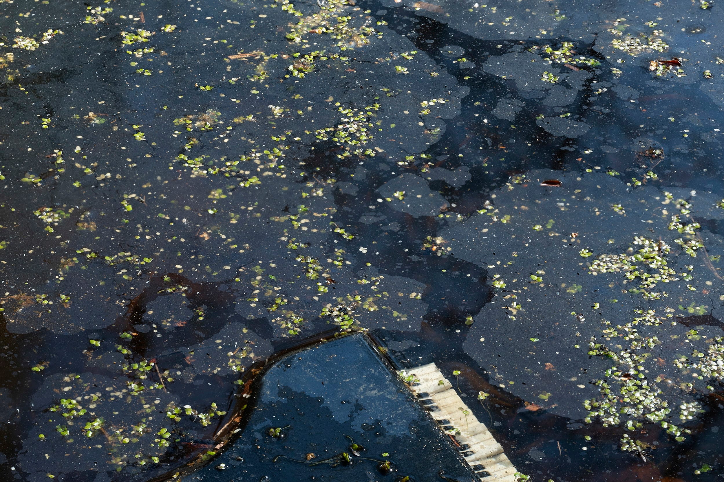 Remnants (Piano)